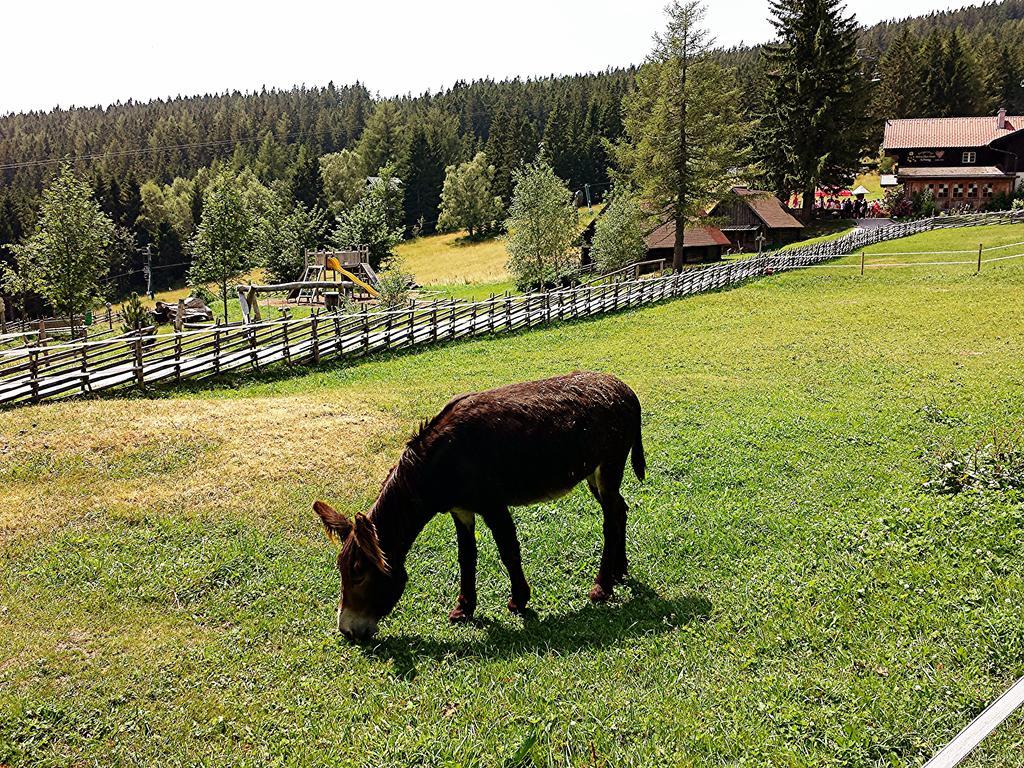 Villa Luef Mönichkirchen Kültér fotó